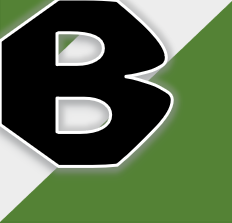 Bravo Company Contractors, LLC
